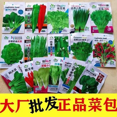 批发四季叶菜类蔬菜种子菜种盆栽白菜萝卜菜籽生菜青菜种籽孑菠菜图2