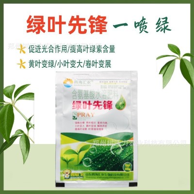 绿叶先锋氨基酸水溶肥黄叶死苗一喷绿叶面肥促进绿叶素叶绿素通用