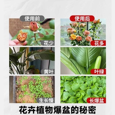 正宗纯草木灰肥料农家有机肥稻壳碳营养土种果蔬花卉防虫底肥土壤图4