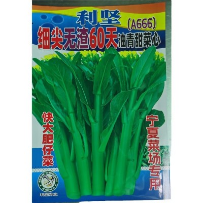 批发蔬菜种子400克利坚细尖无渣60天油青甜菜心种子（A666)图5
