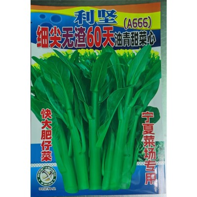 批发蔬菜种子400克利坚细尖无渣60天油青甜菜心种子（A666)