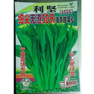 批发蔬菜种子400克利坚细尖叶无渣50天油青甜菜心种籽（A555）