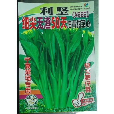 批发蔬菜种子400克利坚细尖叶无渣50天油青甜菜心种籽（A555）图5