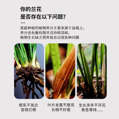 兰花专用肥家用花肥肥料君子兰蝴蝶兰通用颗粒长效缓释控释复合肥图4