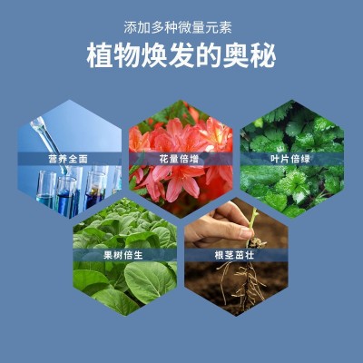 芽动力花多多1号2号3号促花花卉绿植多肉家庭通用氮磷钾水溶肥料图4