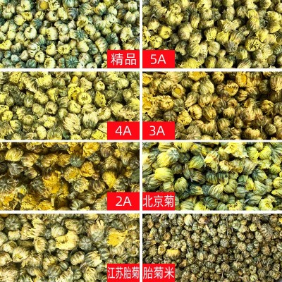 新货散装桐乡胎菊500g花草茶菊花茶叶杭州白菊胎菊王产地工厂批发图3
