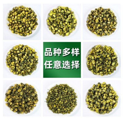 新货散装桐乡胎菊500g花草茶菊花茶叶杭州白菊胎菊王产地工厂批发