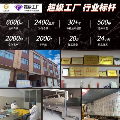 新货散装桐乡胎菊500g花草茶菊花茶叶杭州白菊胎菊王产地工厂批发图5