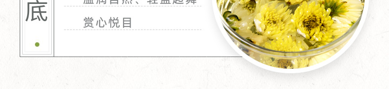 胎菊详情_10