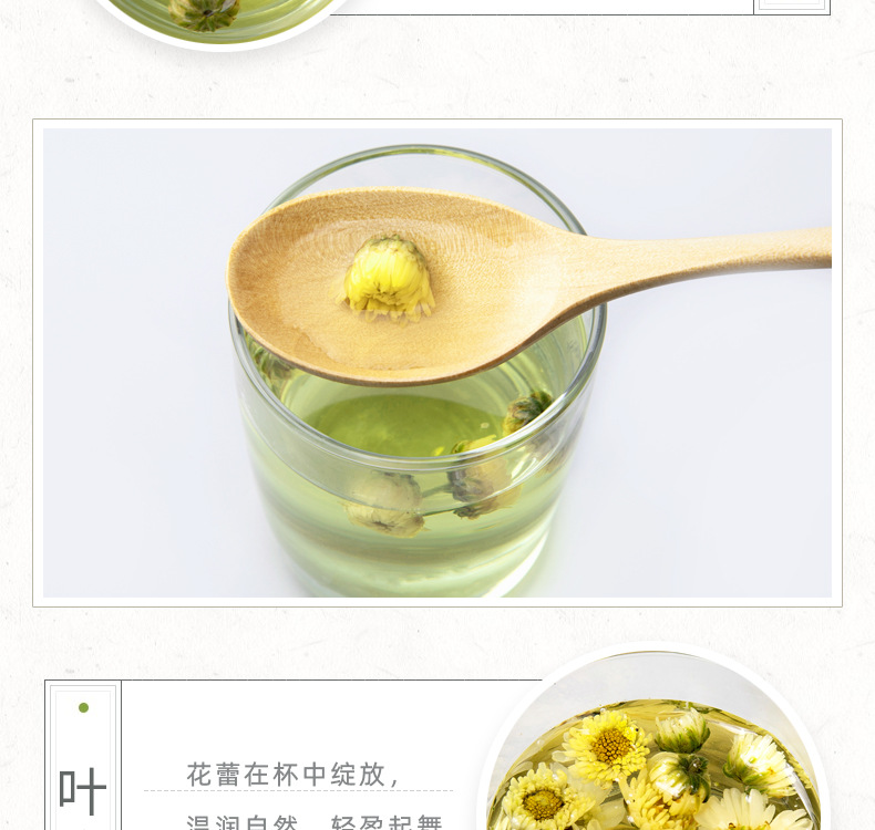 胎菊详情_09