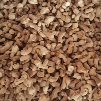源头工厂精选双剪香菇脚香菇腿25KG冬菇柄食品厂专用批发图4