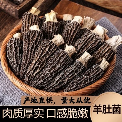 云南特产精选农家干货羊肚菌批发代发头茬厚肉羊肚菌干货