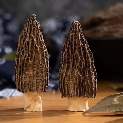 云南特产精选农家干货羊肚菌批发代发头茬厚肉羊肚菌干货图3