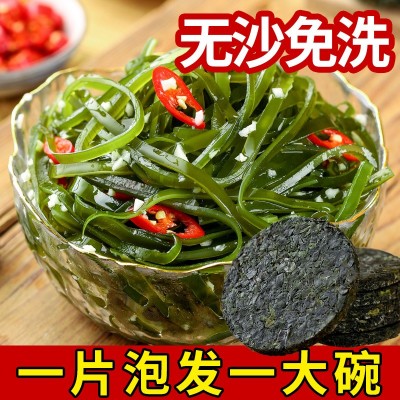 霞浦压缩海带丝独立小袋圆盘新鲜烘干高倍泡发装炖汤火锅凉拌食材图2