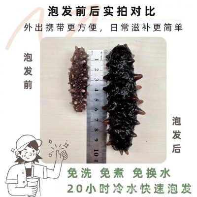 【20倍泡发】天海禄国际特级冷水速发海参淡干辽刺参孕妇图4