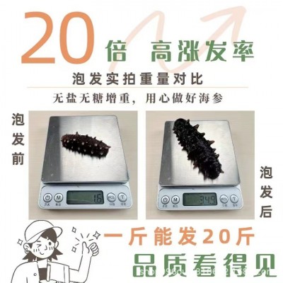 【20倍泡发】天海禄国际特级冷水速发海参淡干辽刺参孕妇图3
