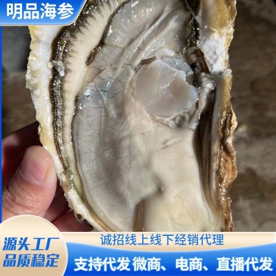 乳山牡蛎 水产鲜活海鲜贝类海蛎子50KG 酒店餐厅生蚝批发代发图3