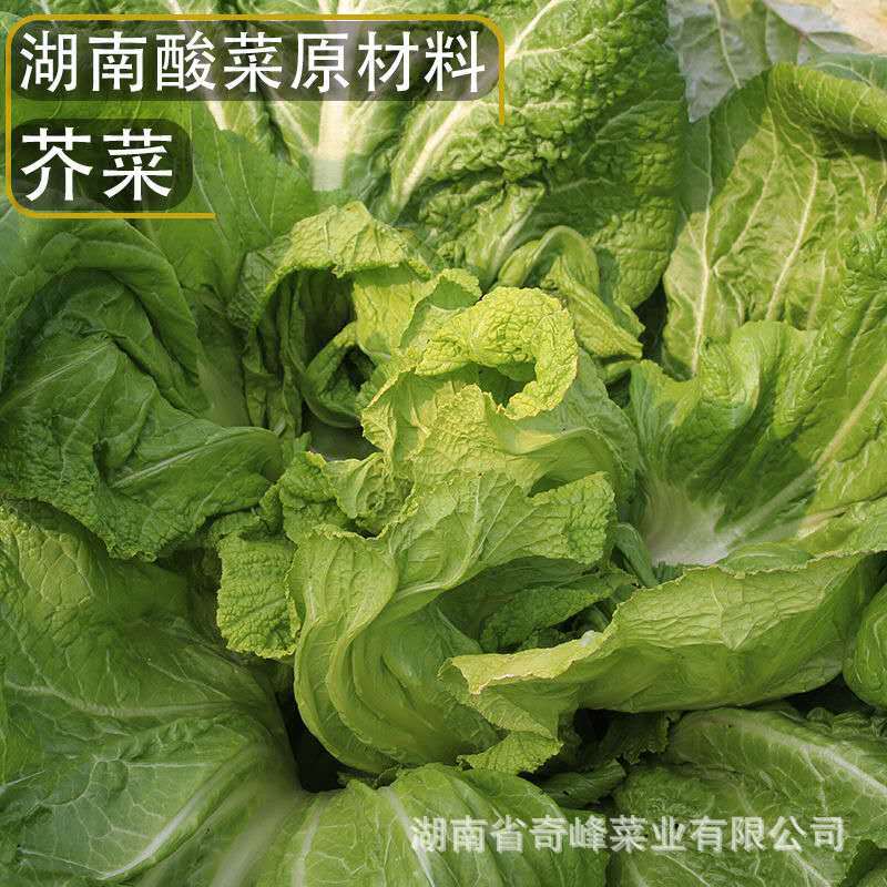 2b198feb-b0fc-4999-8a01-6c8d15