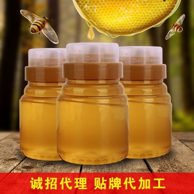 【工厂直供】蜂蜜批发500g土蜂蜜百花蜜枣花蜜调味糖浆一件代发图3