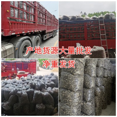 新货云南特产羊肚菌干货250g源头厂家金堂产地直发代发批发包邮图4