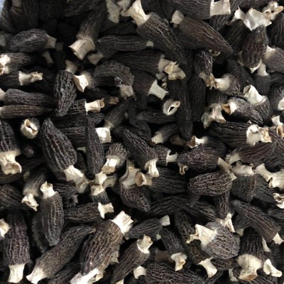 原产地新货羊肚菌干货250g 多规格散装批发 煲汤食材菌菇汤料包图4