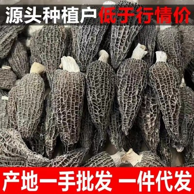 原产地新货羊肚菌干货250g 多规格散装批发 煲汤食材菌菇汤料包图3