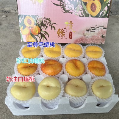 【蒙阴新三蟠组合】至尊毛蟠+奶油蟠桃+彩虹油蟠5斤新鲜水果代发