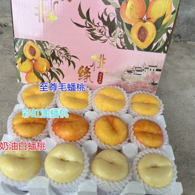 【蒙阴新三蟠组合】至尊毛蟠+奶油蟠桃+彩虹油蟠5斤新鲜水果代发图3