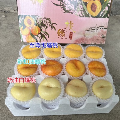 【蒙阴新三蟠组合】至尊毛蟠+奶油蟠桃+彩虹油蟠5斤新鲜水果代发图2