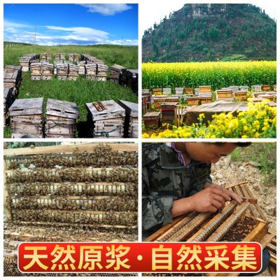 云南蜂蜜源头厂家直供贴牌代发新鲜头茬蜂王浆蜂皇浆高原高葵酸图3