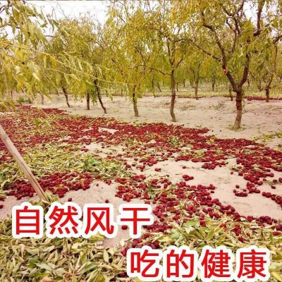 新疆特产若羌灰枣20斤箱装若羌级枣王泡茶煮粥煲汤大枣厂家批代发图2