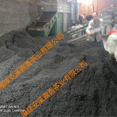 2020年新茶正山小种红茶浓香奶茶原料*蜜香正山小种茶厂家批发图3