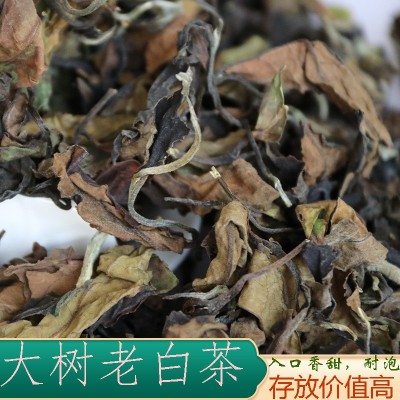 云南白茶大树月光白景谷普洱茶美人原料批发茶叶现货散装