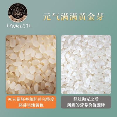 东北老农 胚芽米500g 宝宝食谱粥米香大米批发会销礼品食品图4