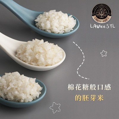 东北老农 胚芽米500g 宝宝食谱粥米香大米批发会销礼品食品图2