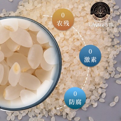 东北老农 胚芽米500g 宝宝食谱粥米香大米批发会销礼品食品
