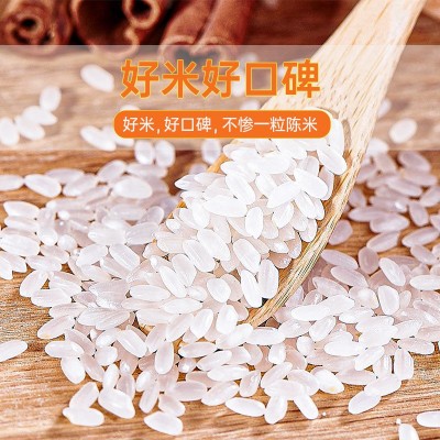 谷米集东北长粒香米50斤当季东北大米黑龙江大米当季新米粥米粳米图3