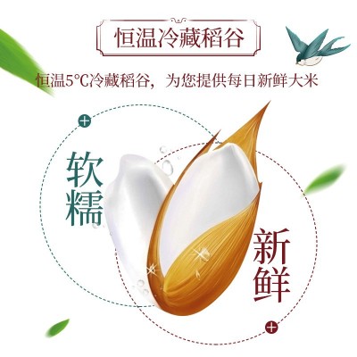 昊帅宁夏大米5kg长粒香大颗粒饱满一年一季图4