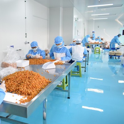 桂圆肉晒干2024年新货灯笼果批发无核散装空心龙眼元肉直销厚实图2