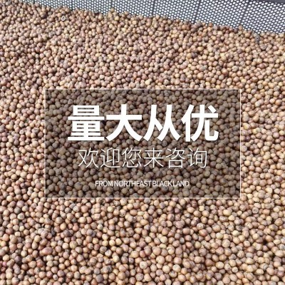 坚果零食榛子原味东北熟榛子瓤满批发500克 支持oem 支持一件代发图3