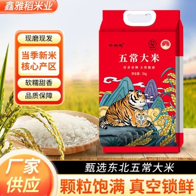 新款东北黑龙江特产五常大米真空包装10斤装现磨现发当季新米批发
