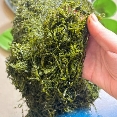 威海荣成新鲜盐渍马尾藻 鞭炮竹 海藻 海草 长寿菜5斤装厂家直售