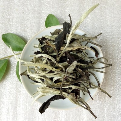 批发 云南茶叶 散茶 景谷月光白茶大芽一芽一叶 大白毫银针口感香图3
