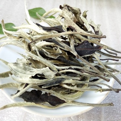 批发 云南茶叶 散茶 景谷月光白茶大芽一芽一叶 大白毫银针口感香图2