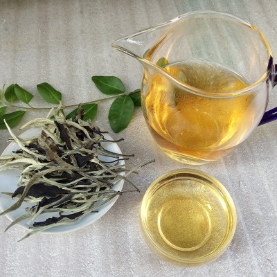 批发 云南茶叶 散茶 景谷月光白茶大芽一芽一叶 大白毫银针口感香图4