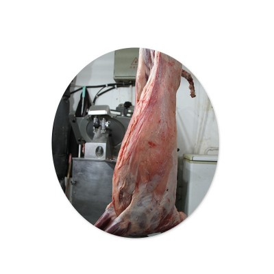 白条羊绵羊带皮去皮内蒙全羊整只羊肉新鲜白条羊现杀羊烤全羊肉图5