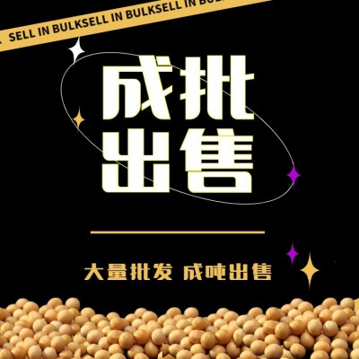 东北非转基因黄豆 23年新豆 大货批发 黑龙江黄豆 50斤一袋大货