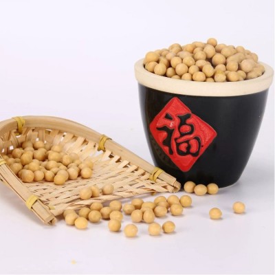 东北非转基因黄豆 23年新豆 大货批发 黑龙江黄豆 50斤一袋大货图5