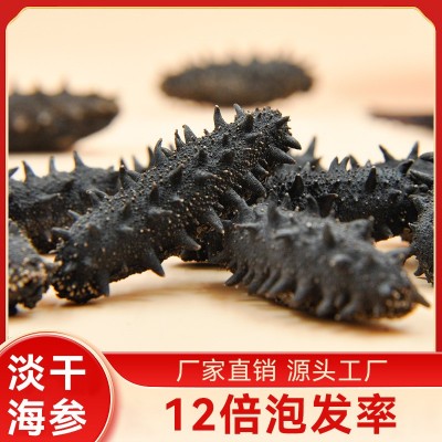 鼎鲜淡干海参批发 大连淡干海参干货辽参 原产地海参工厂代发货图2