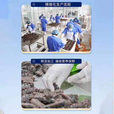 鼎鲜淡干海参批发 大连淡干海参干货辽参 原产地海参工厂代发货图3
